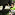 Long