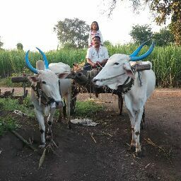 mahendra