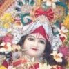 Satish T.N.