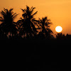 Rohit T.K.