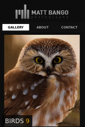 Matt Bango mobile site