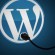 Three Essential Steps for Building a Quality WordPress Website in One Day