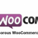 10 Most Decorous WooCommerce Themes for 2015