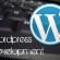 How Good Is Your WordPress Developer?