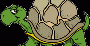 turtle