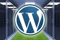 wordpress-hosting