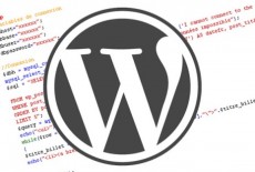 wordpress-seo1