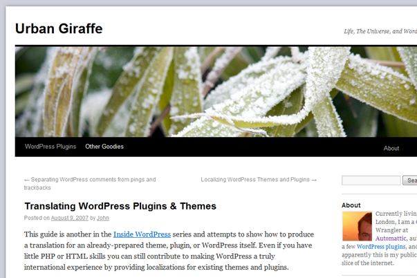 translating wordpress themes and plugins