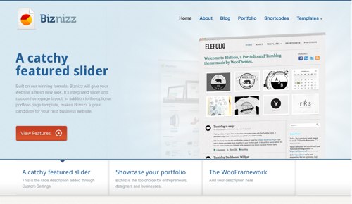 Biznizz - Best WordPress Themes