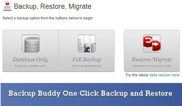 backup buddy review