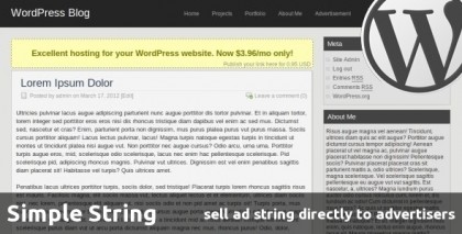  Simple String 