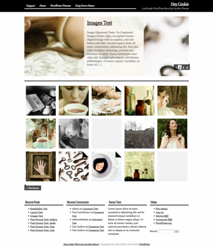 hey cookie wordpress theme