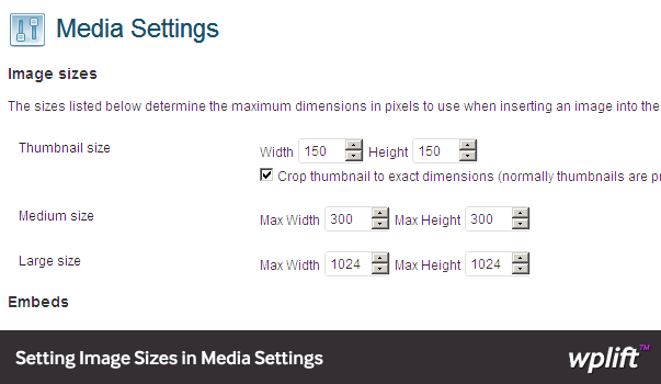 thumb size settings