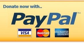 paypal donate button
