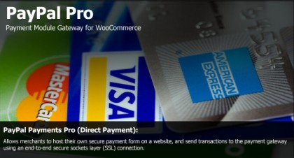  PayPal Pro Payment Module for WooCommerce 