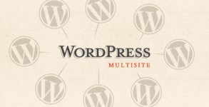 top wordpress multisite plugins