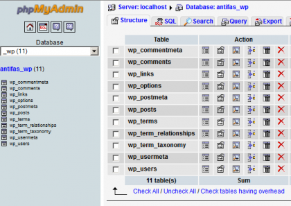 wordpress database