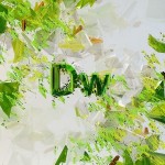 dreamweaver