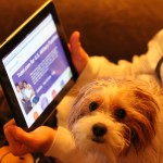 How To Get A Website Service Up And Running From Scratch