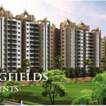 Springfields apartments
