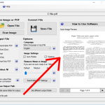 Input Image Preview