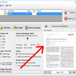 Input Image Preview
